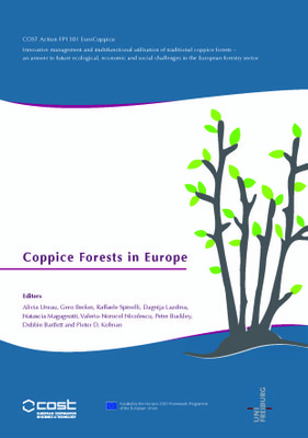 coppice-volume-front