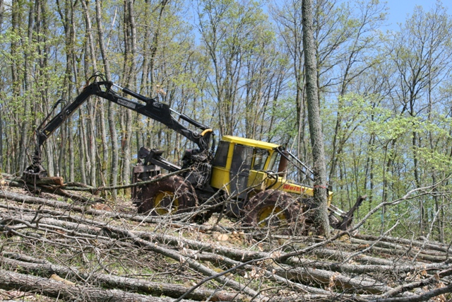 Harvesting with Tonsur