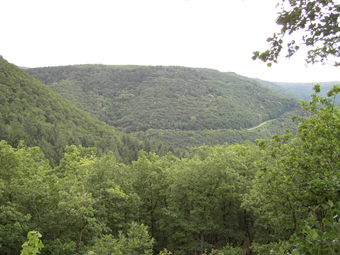 boppard2