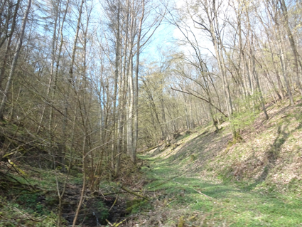 boppard6
