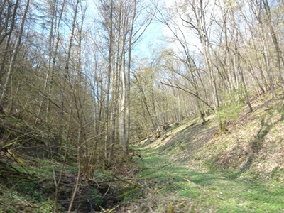 boppard6